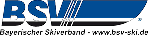 Logo im Header